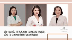 Đào tạo điều trị mụn, nám, tàn nhang, lỗ chân lông to, tại Thẩm Mỹ Mộc Linh Hải Phòng - hình 1
